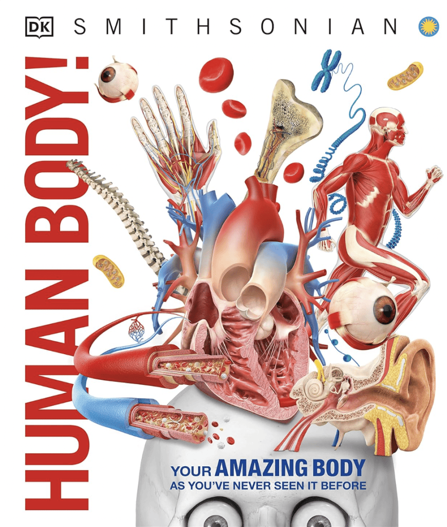 DK Smithsonian Human Body book cover